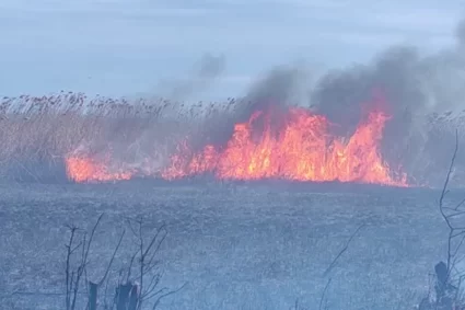 Incendiu în Rezervația Naturală Lacul Brateș din Galați. Au ars 15 hectare, însă complexul turistic a fost salvat VIDEO