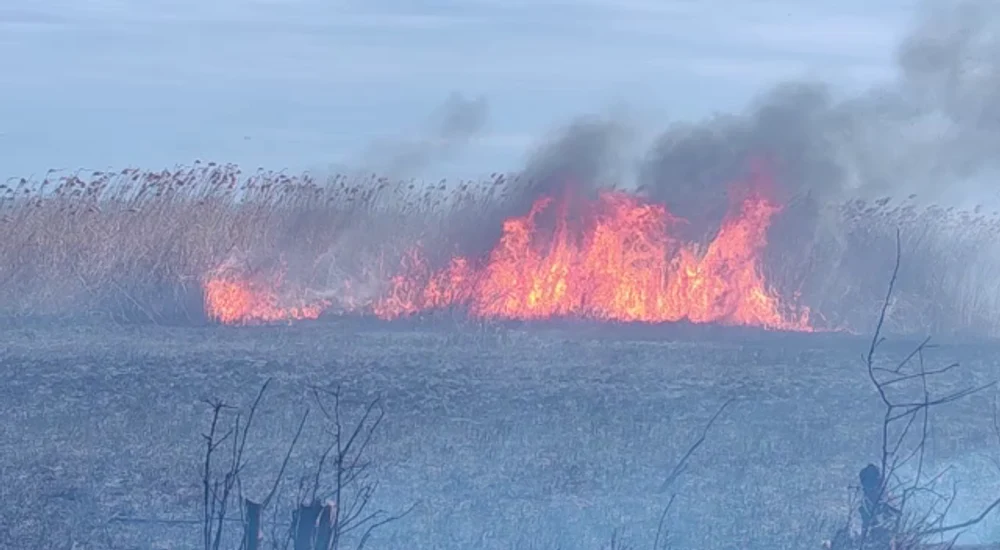 Incendiu în Rezervația Naturală Lacul Brateș din Galați. Au ars 15 hectare, însă complexul turistic a fost salvat VIDEO