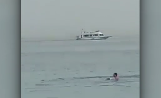 VIDEO. Un rus de 24 de ani, atacat și mâncat de un rechin în Marea Roșie, lângă o stațiune egipteană