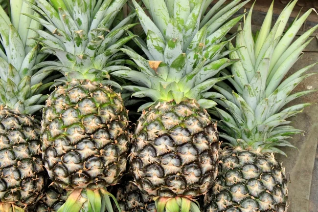 De ce ne sângerează gura uneori după ce mâncăm ananas