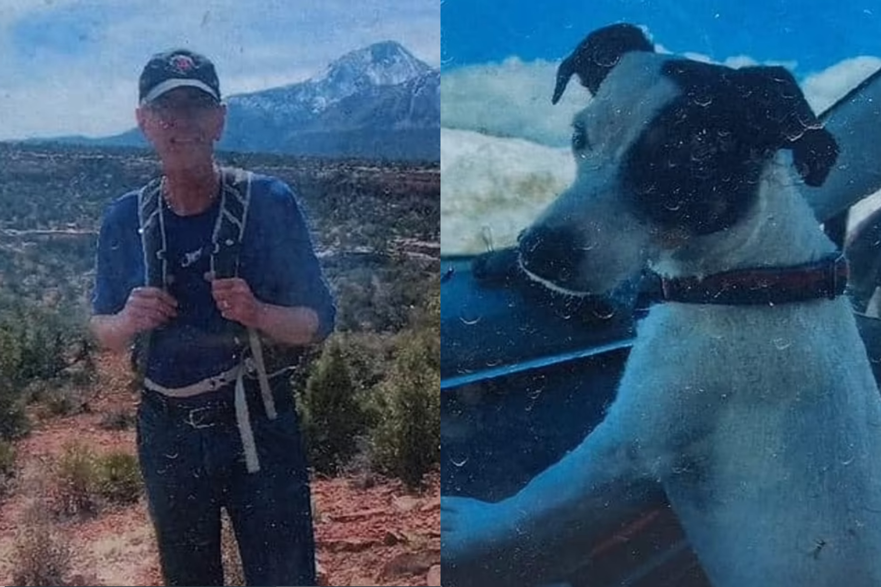 Un bărbat dat dispărut în august a fost găsit mort, în munții. Câinele care-l însoțea era în viață și îl păzea