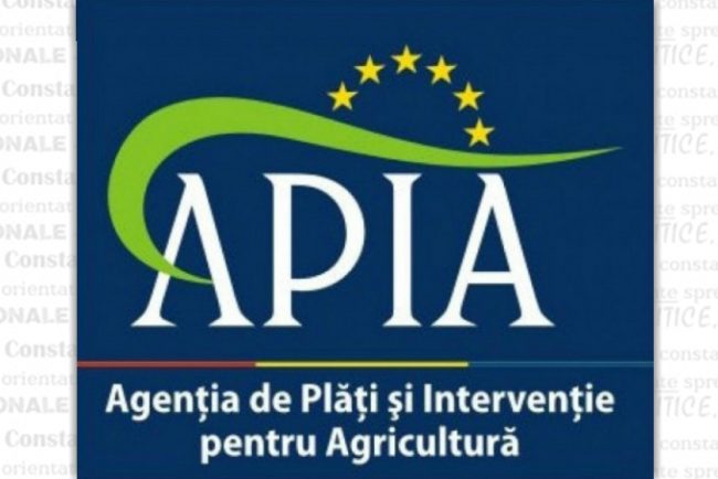 APIA:  Peste 274 milioane lei autorizate la plata pentru sectorul cerealelor si cel al semintelor oleaginoase