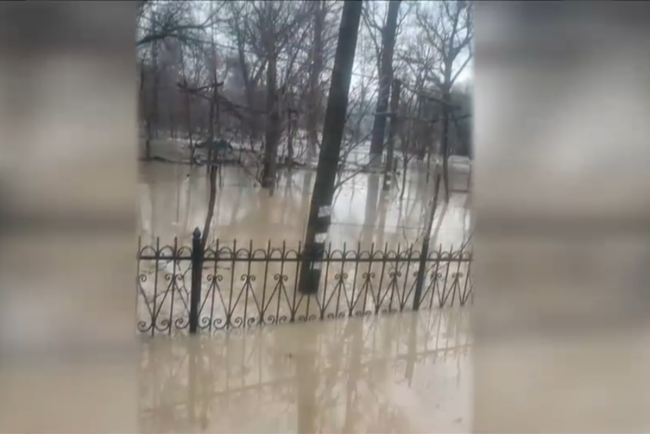 VIDEO. Inundații în Maramureș, după ce un pârâu a ieșit din matcă