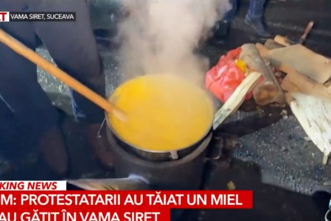 Protestatarii din Vama Siret au gătit un miel cu mămăligă și îl așteaptă pe premierul Ciolacu / foto