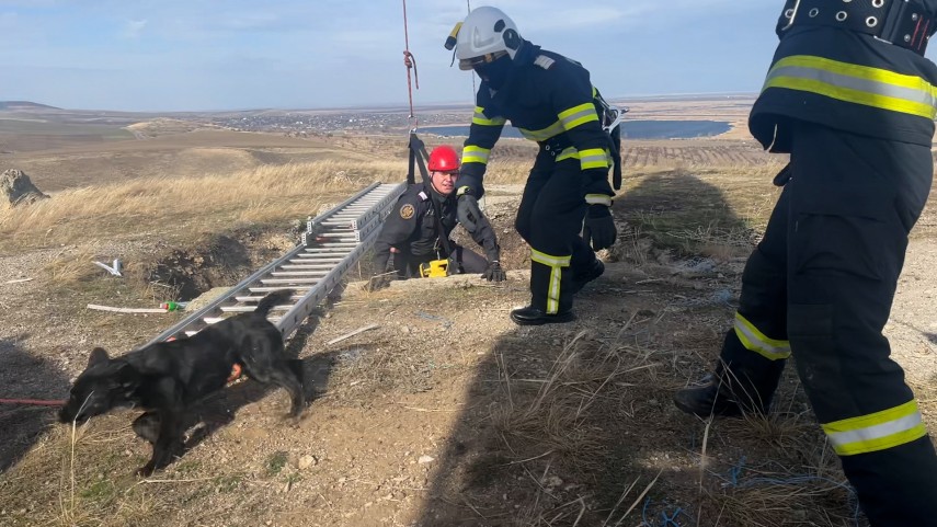 Operațiune dificilă în Tulcea: Un cățel a fost salvat de pompieri după ce a rămas blocat timp de 3 zile într-o groapă adâncă