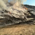Un incendiu de amploare în pădurea din Frumușița din județul Galați | VIDEO