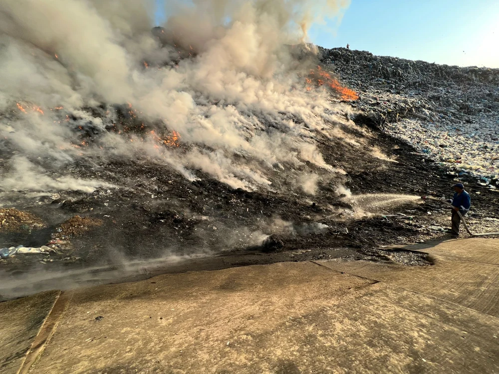 Un incendiu de amploare în pădurea din Frumușița din județul Galați | VIDEO