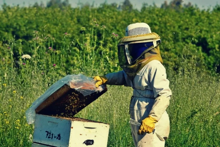 România, pe locul 3 în topul celor mai mari exportatori de miere din UE, în 2023