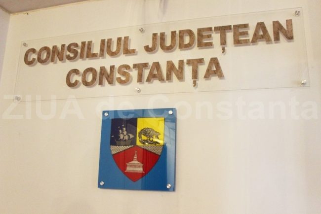 Declaratii de Avere Constanta: Averea si interesele consilierului judetean Dana Mariana Constantinescu (DOCUMENT)
