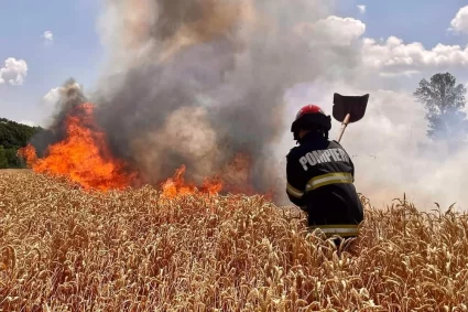 FOTO Prăpădul din „Grecia” nordului. Incendiile fac ravagii de două luni. Canicula și inconștiența, principalele cauze