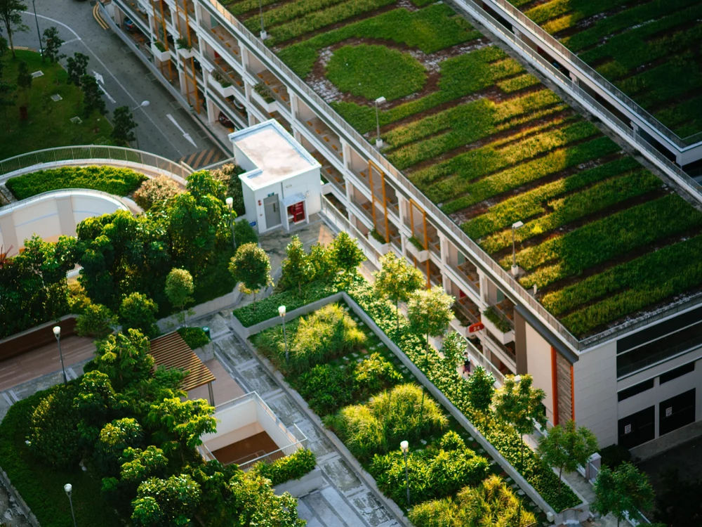 Orașul care și-a transformat acoperișurile în păduri urbane. Grădinile suspendate din Basel. Viitorul orașelor și lecția Elveției