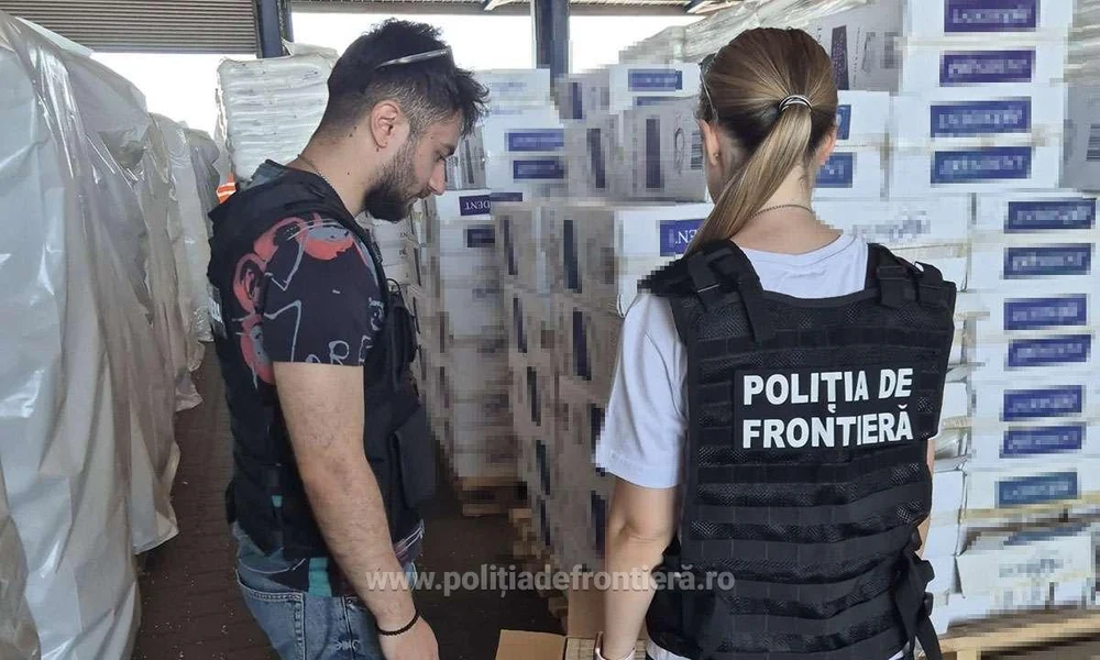 Captură de peste 8 milioane de lei. Ce au descoperit polițiștii într-un container care trebuia să conțină scobitori