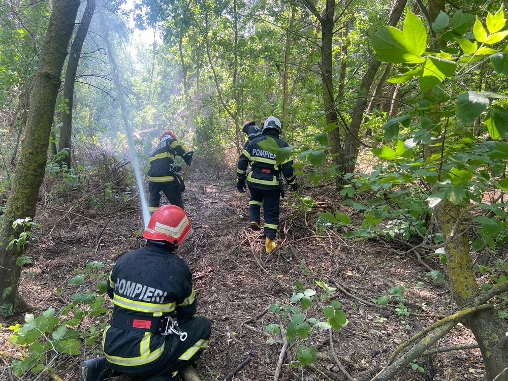 Pompierii luptă cu 16 incendii majore în șase județe: peste 1.000 de hectare afectate