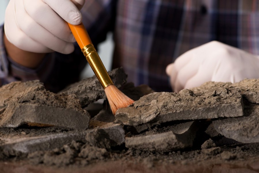 Descoperire uluitoare în Germania: Arheologii au găsit un caiet vechi de aproximativ 800 de ani într-o toaletă medievală