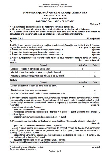 Evaluarea Națională 2026: Baremele și subiectele la Limba română, publicate de Ministerul Educației
